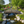 Japanese Wood Garden Bridge 8 ft. - SamsGazebos Handcrafted Garden Structures