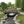 French Country Wood Garden Bridge 8 ft. - SamsGazebos Handcrafted Garden Structures