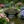 Basho Wooden Garden Bridge 8 ft. with colorful spring flowers - SamsGazebos Handcrafted Garden Structures