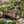 Japanese Bridge with Split Railings 12 ft Taiko spans a pond with koi fish surrounded by colorful spring flowers.