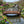 Japanese Bridge with Split Railings 12 ft Taiko spans a small pond with waterfalls in a sunny spring garden