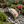 Miniature Japanese Garden Bridge 25 In. Unfinished - SamsGazebos Handcrafted Garden Structures