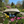 Zen Japanese Wood Garden Bridge 8 ft. x 4 ft. 400 lb. Load Capacity - SamsGazebos Handcrafted Garden Structures