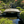 Zen Japanese Wood Garden Bridge 8 ft. x 4 ft. 400 lb. Load Capacity - SamsGazebos Handcrafted Garden Structures