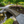 Musashi Japanese wood garden bridge 8 ft. - SamsGazebos Handcrafted Garden Structures