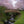Basho Garden Bridge 8 ft. - SamsGazebos Handcrafted Garden Structures