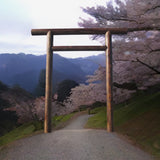Torii - Japanese Torii Gate 8 Foot Shinmei Style