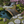 Basho Garden Bridge 6 ft. - SamsGazebos Handcrafted Garden Structures