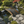Basho Garden Bridge 6 ft. - SamsGazebos Handcrafted Garden Structures