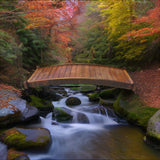 Garden Bridge - 8-foot Zen Japanese Wooden Garden Bridge