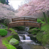 Garden Bridges - 6-foot Butterfly Garden Bridge With Diamond Lattice Railings