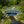 Chelsea Wood Garden Bridge 8 ft. - SamsGazebos Handcrafted Garden Structures