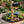 Black mailbox on a natural wood post with a wood corbel support, surrounded by flowers beside a stone walkway.