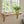 A light natural wood wall-mounted shelf with two decorative corset brackets, styled on a white paneled wall beneath a window with a potted green plant and a small bottle on it.