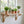 A light natural wood wall shelf mounted on a white shiplap wall, holding several potted green plants in terracotta and cream pots. The shelf is positioned beneath a white-framed window with outdoor greenery visible behind it.