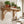 A light natural wood floating shelf mounted on a white subway tile wall in a bright kitchen, styled with several potted green plants in terracotta and cream pots.