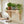 A light natural wood wall-mounted shelf with decorative corset-style brackets, styled in a bright kitchen with potted green plants, a window, and countertop accessories.