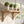 A light natural wood floating shelf mounted on a white tiled wall, styled with three potted green plants in white ceramic pots and a brass watering can, next to a bright window.