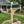 A green mailbox mounted on a light natural wood post and bracket in a landscaped front yard with a house.