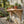Two light natural wood wall-mounted garden shelves with decorative fan-shaped brackets, holding potted plants and flowers.
